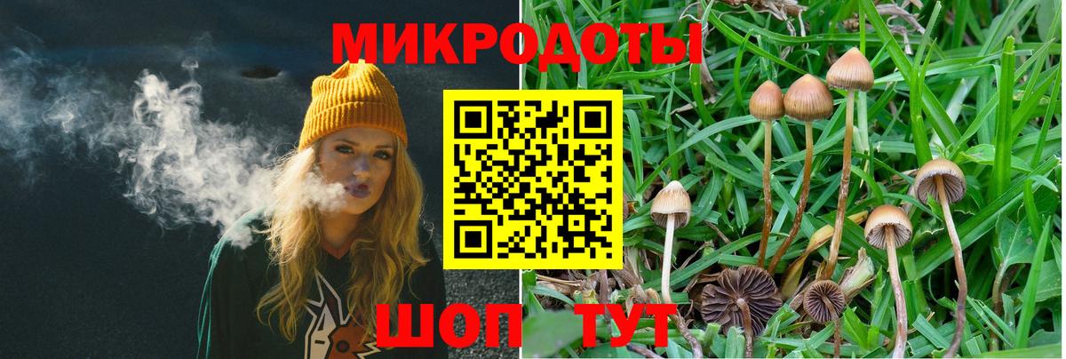 Галлюциногенные грибы мицелий  Вход с VPN  Менделеевск 